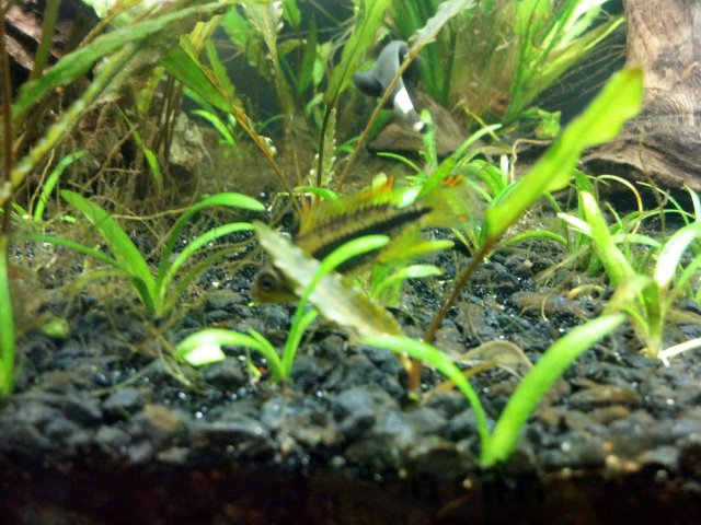 2012-03-10_18-08-43_562.jpg