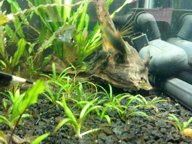 2012-03-10_18-09-11_432.jpg