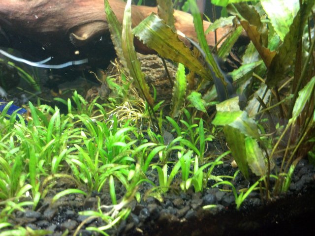 2012-03-10_18-09-31_343.jpg