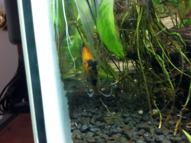 2012-03-10_18-10-34_119.jpg