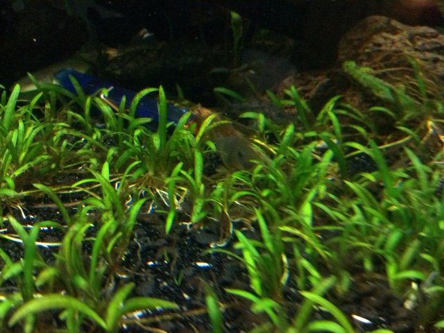 2012-03-10_18-11-12_193.jpg
