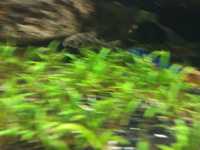 2012-03-10_18-11-35_116.jpg