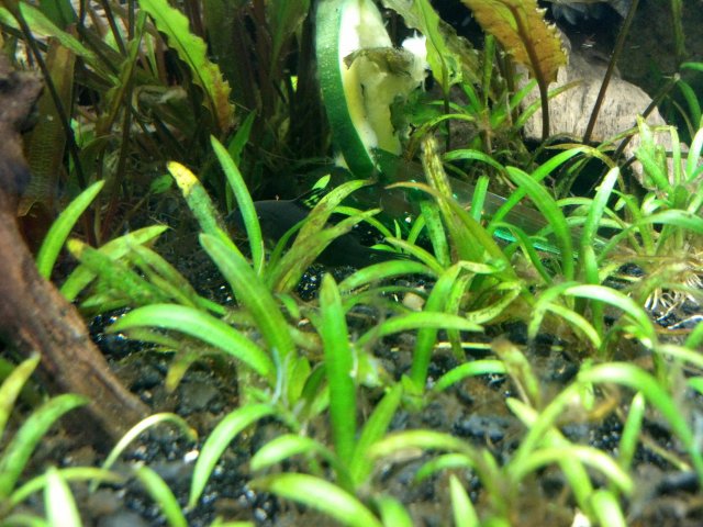 2012-03-10_18-11-54_538.jpg