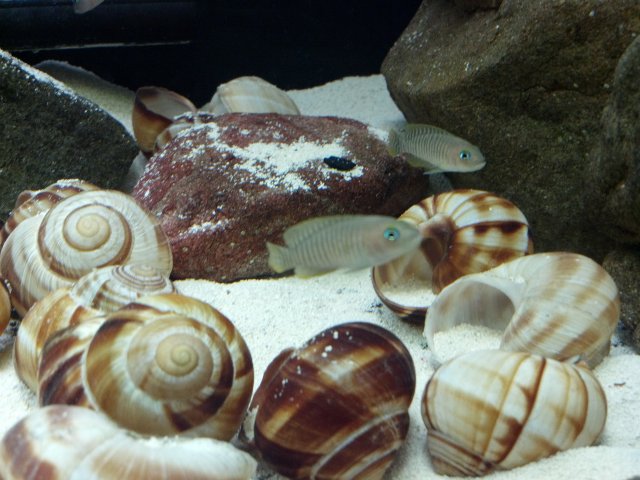 2012-03-10_18-12-25_511.jpg