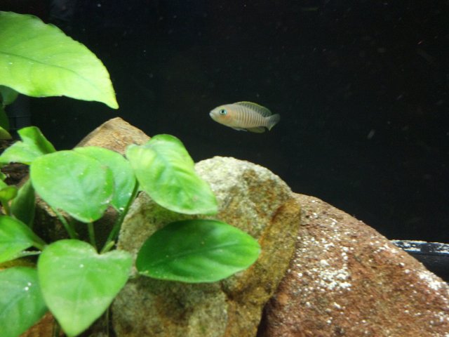 2012-03-10_18-13-00_412.jpg