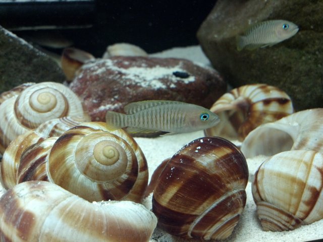 2012-03-10_18-14-58_241.jpg