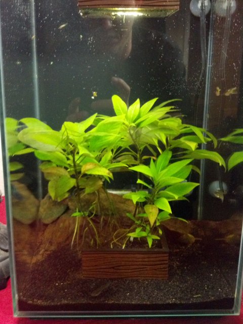 2012-03-10_18-15-55_208.jpg
