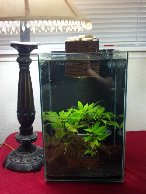 2012-03-10_18-16-02_45.jpg