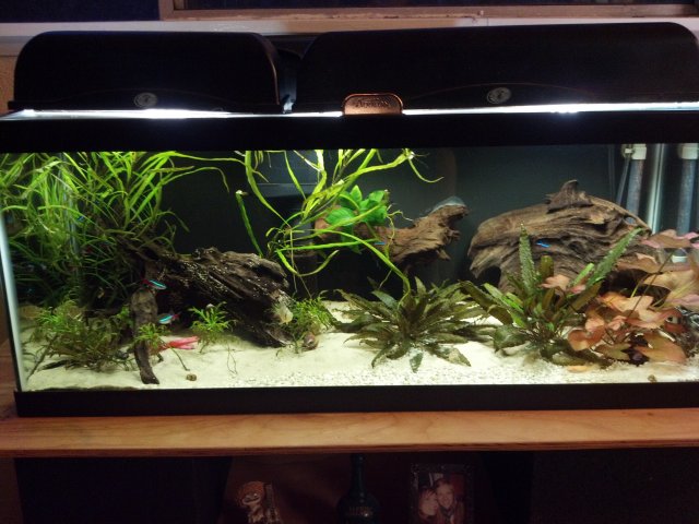 2012-03-10_18-21-44_5.jpg