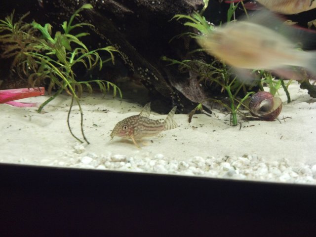2012-03-10_18-22-18_802.jpg