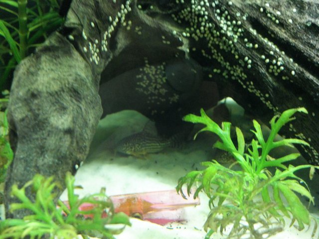 2012-03-10_18-22-36_880.jpg