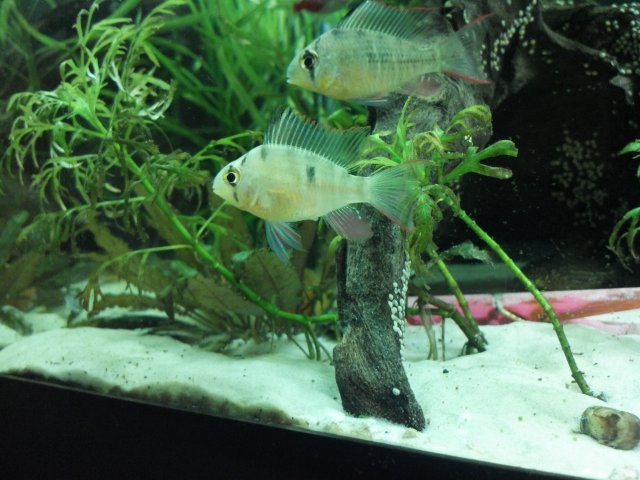 2012-03-10_18-23-16_90.jpg