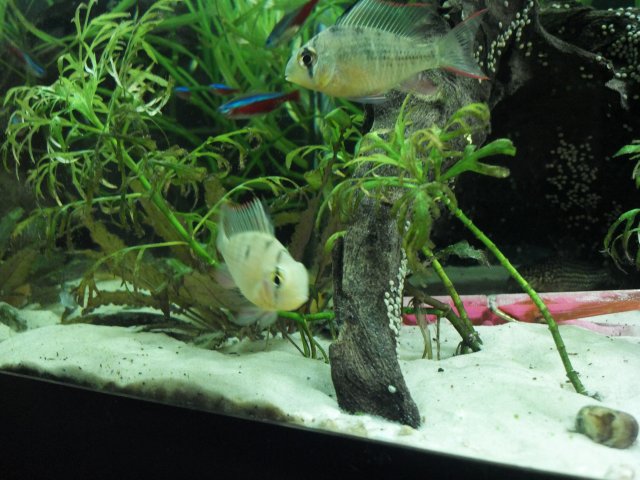 2012-03-10_18-23-23_773.jpg