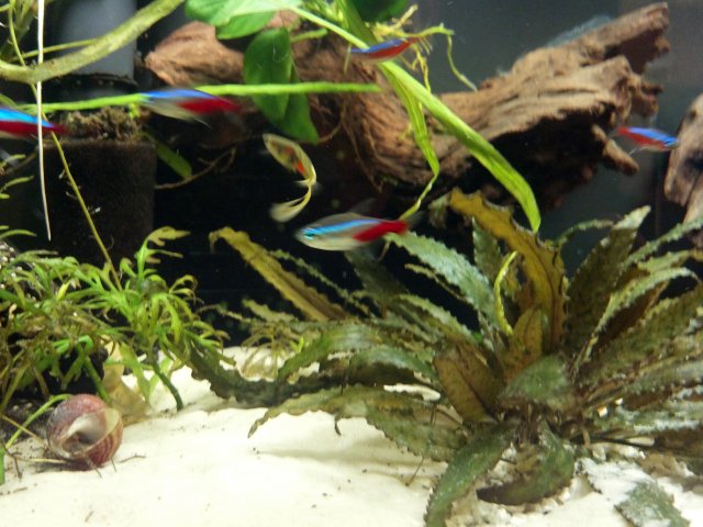 2012-03-10_18-23-35_420.jpg