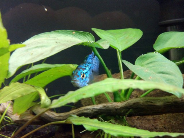 2012-03-10_18-16-51_558.jpg