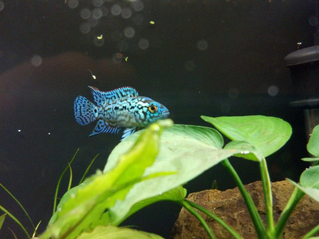 2012-03-10_18-17-45_613.jpg