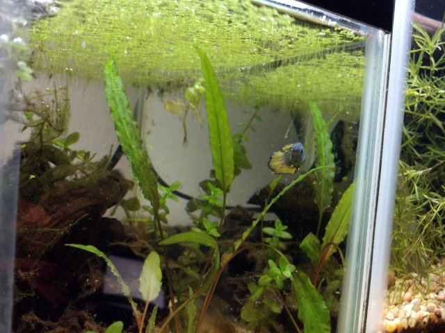 2012-03-10_18-18-52_545.jpg