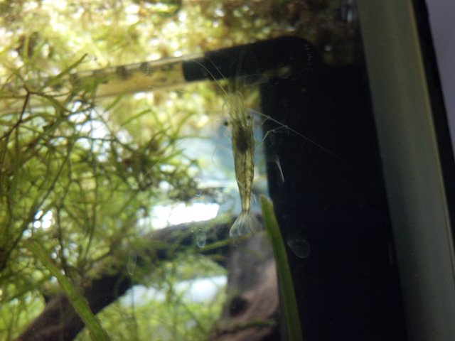2012-03-10_18-19-40_468.jpg