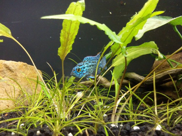 2012-03-10_18-21-03_344.jpg