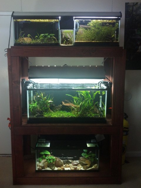 2012-03-11_12-19-24_959.jpg