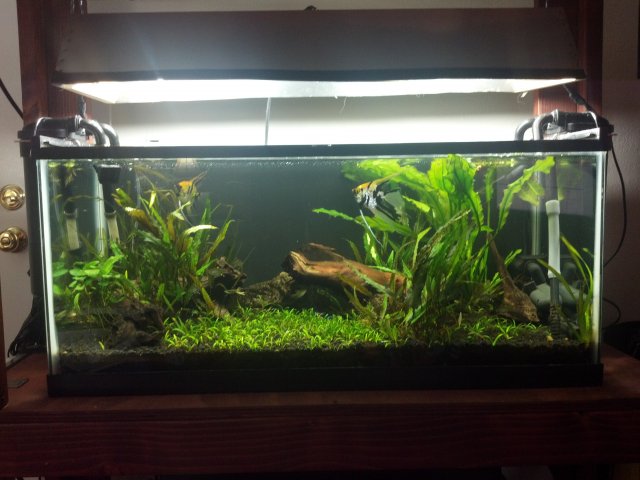 2012-03-11_12-26-54_681.jpg