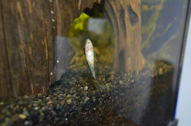 DSC_0075.JPG DSC_0075.JPG