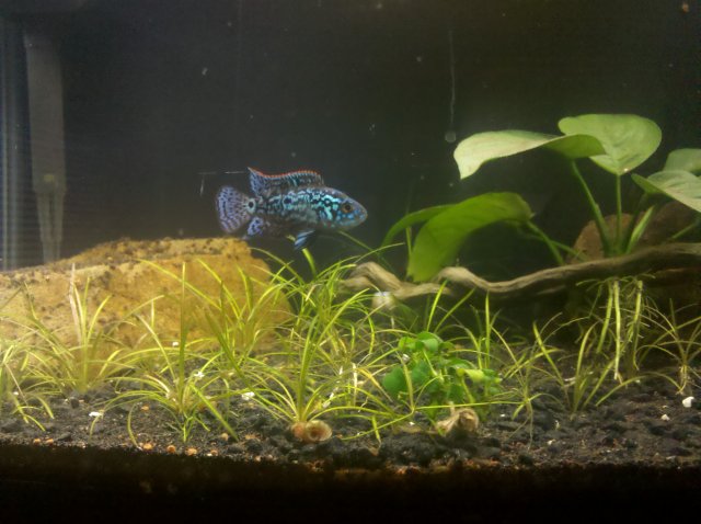 IMG_20120226_222209.jpg IMG_20120226_222209.jpg