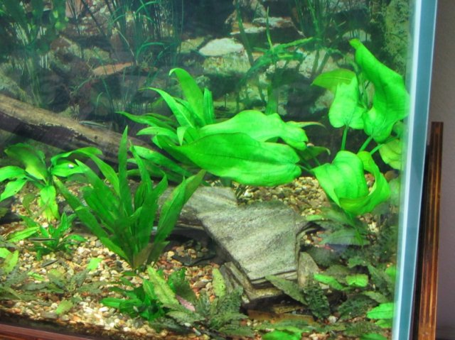 IMG_1054.JPG