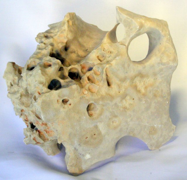 155.JPG