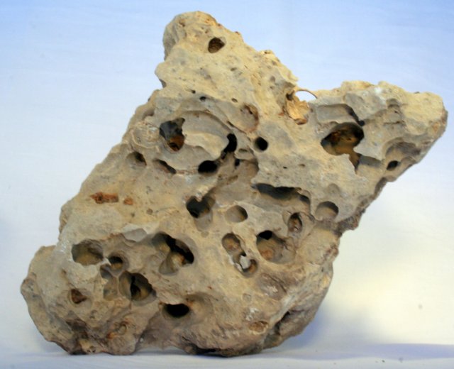 184.JPG