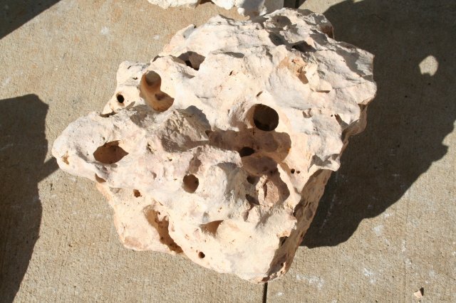 Rock 6 - 2.JPG