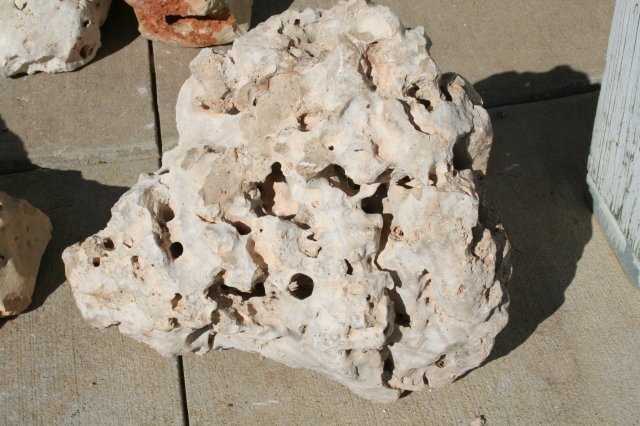 Rock 7 - 1.JPG