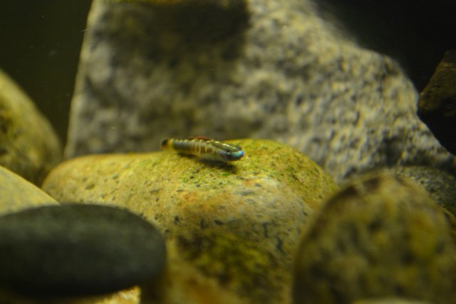 DSC_0511.jpg