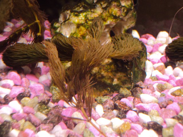 DSC02387.JPG