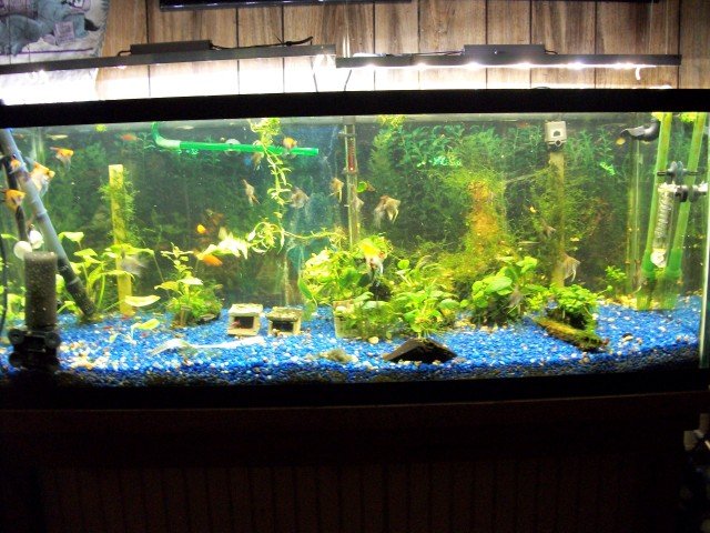 any feedback on aquapanel