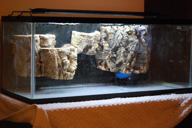 DSC_0410.JPG DSC_0410.JPG