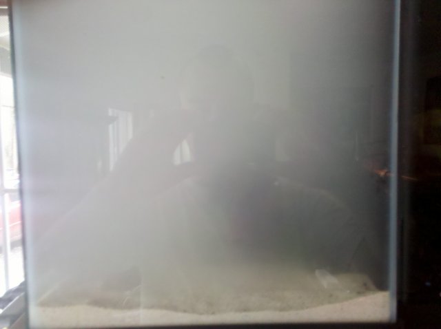 IMG_20120326_124732.jpg