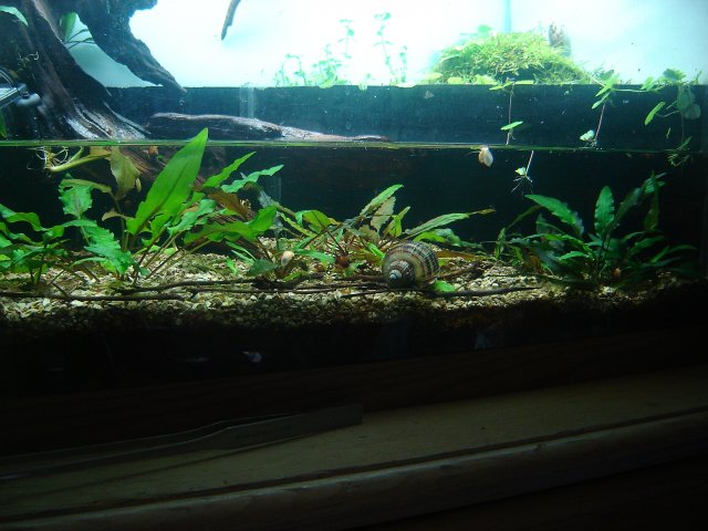 DSC00044.JPG
