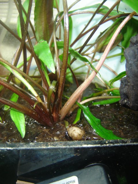 DSC00049.JPG