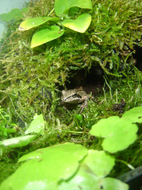 DSC00006 (2).JPG
