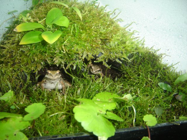 DSC00017 (2).JPG