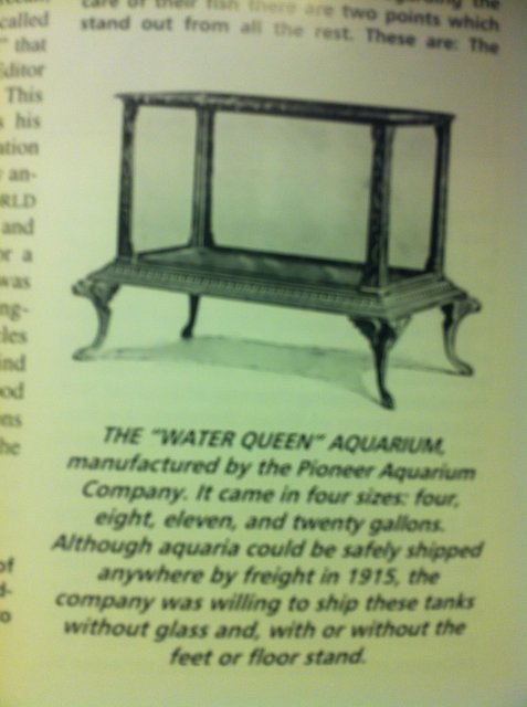 WaterQ.jpg