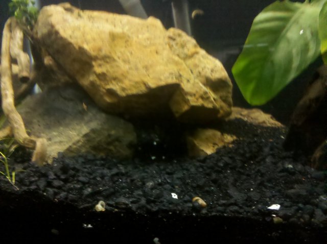 IMG_20120328_195623.jpg