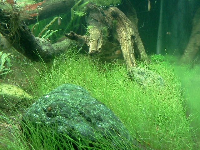 IMG_20120331_163526.jpg