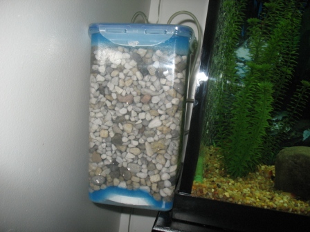 Diy Bio Nitrate Filter Aquariacentral Com Diy Bio Nitrate Filter Aquariacentral Com