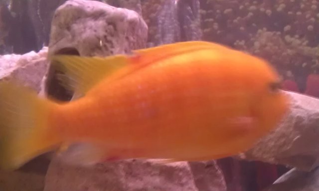 IMAG0095.jpg