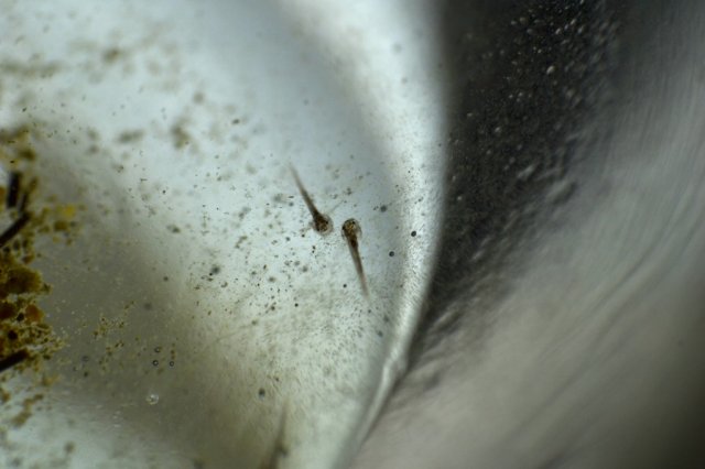 DSC_0481.jpg
