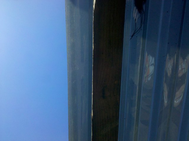 IMG_20120420_164300.jpg