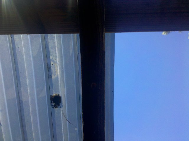 IMG_20120420_164249.jpg