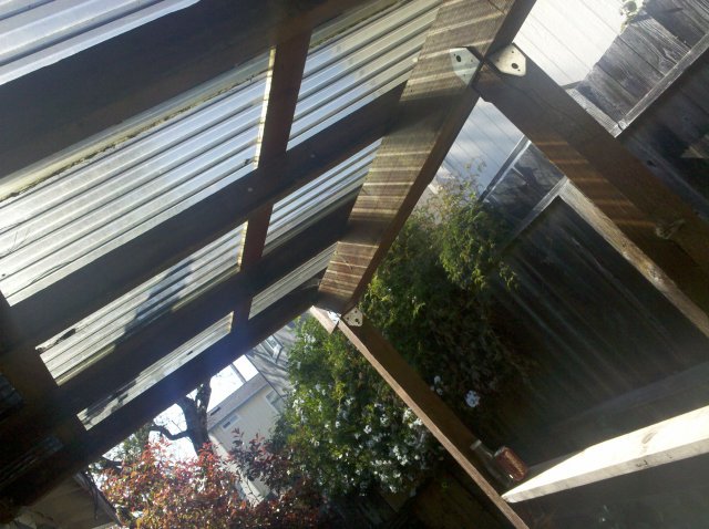 IMG_20120420_164156.jpg